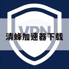 清蜂加速器下载