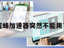 蜜蜂加速器突然不能用了