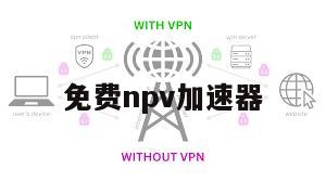 免费npv加速器